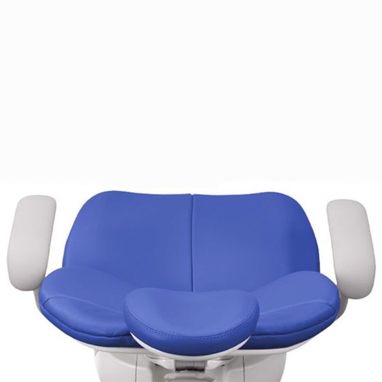 A-dec 300 dental chair offering patient comfort